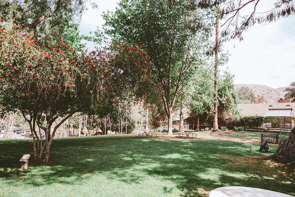 outdoor-space